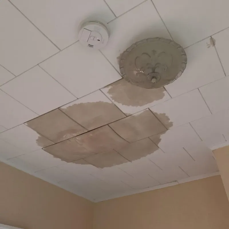 Ceiling Water Damage Repair in Moosup, CT