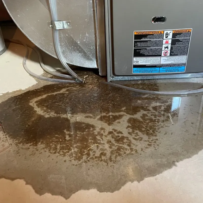 Pipe Burst and Leak Restoration in Moosup, CT