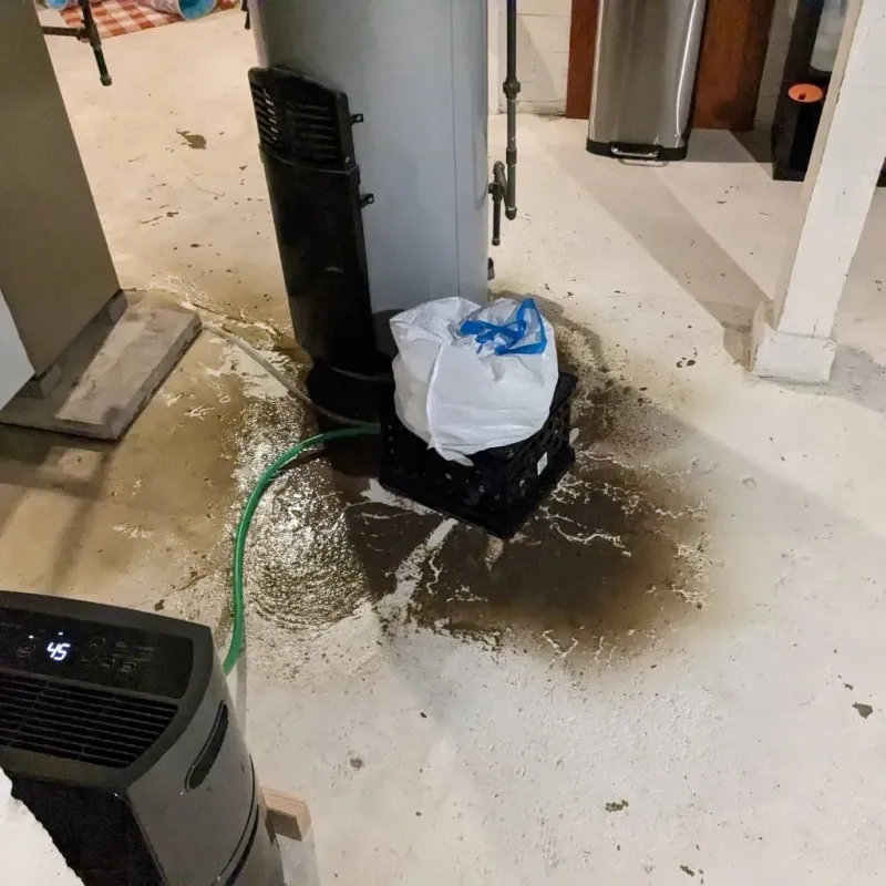 Sewage Backup Cleanup Service in Moosup, CT